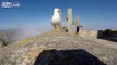 Seagull steals ( go pro ) camera and gives us amazing bird's eye view
