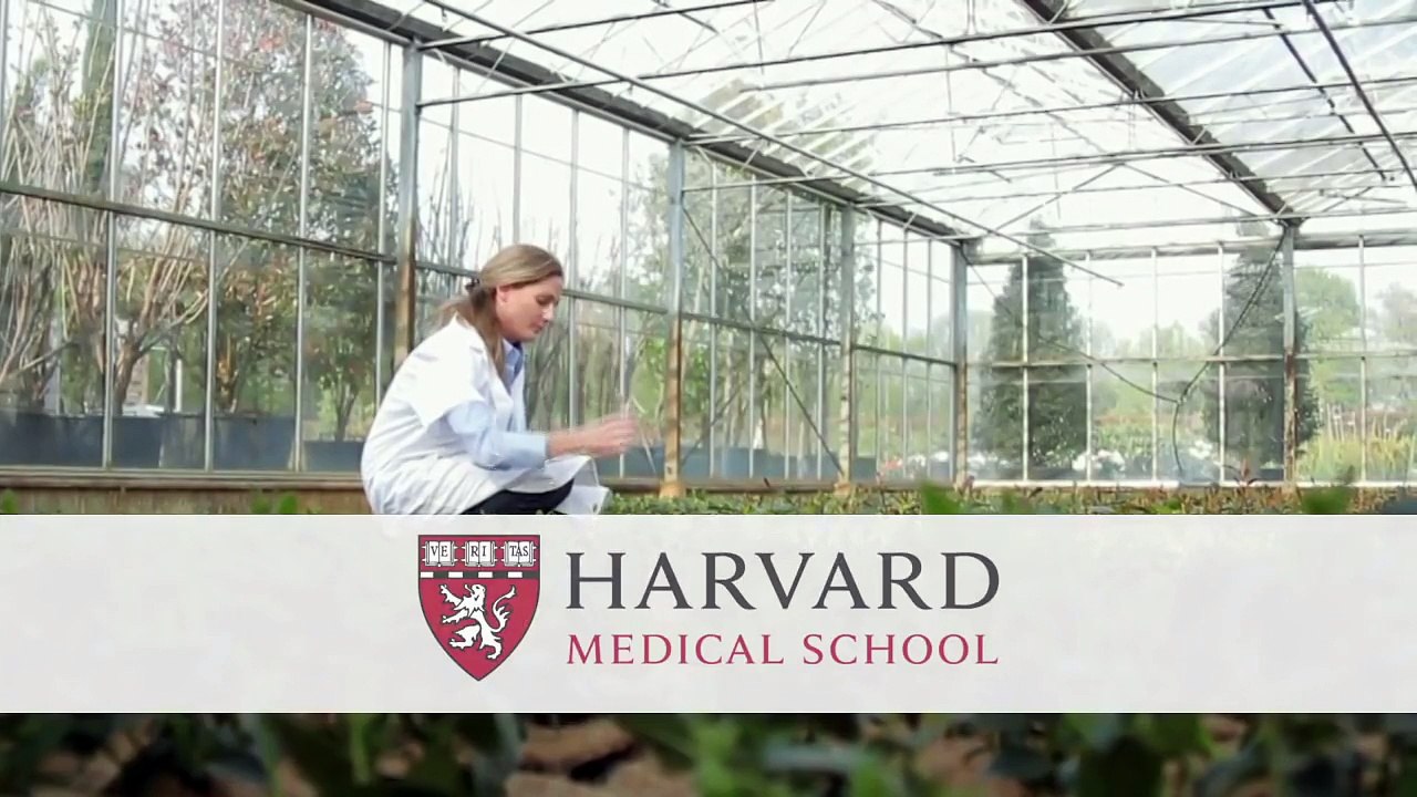 AlphaXYZ - Brain Booster