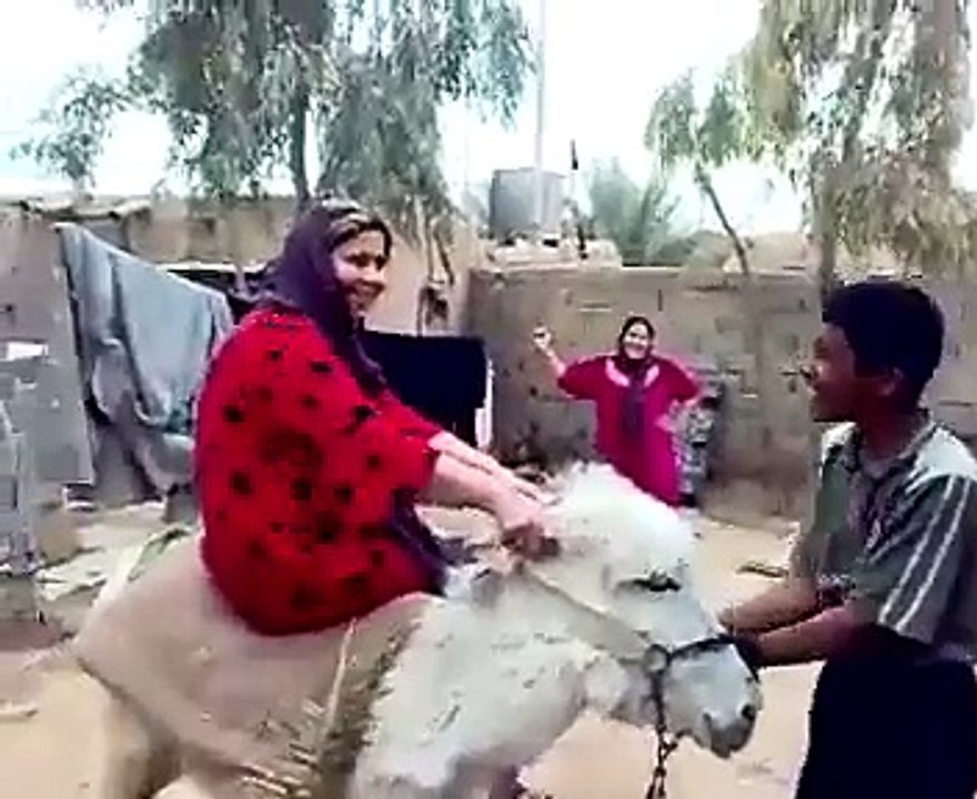 Donkey kon hy in ma sy