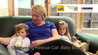 National Cat Awards - Outstanding Rescue Cat Award finalist: Baby Boy