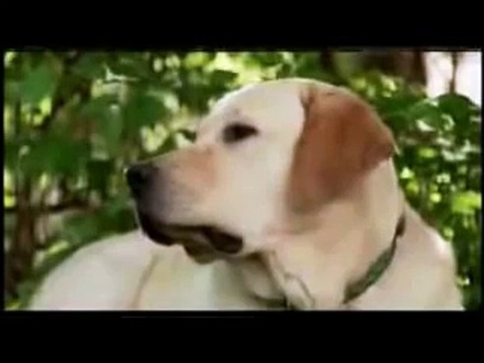 Milton nascimento - Amigo é coisa pra se guardar