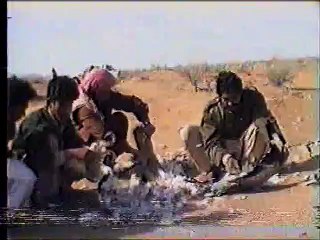 Ameer Ismail Badini Hunting