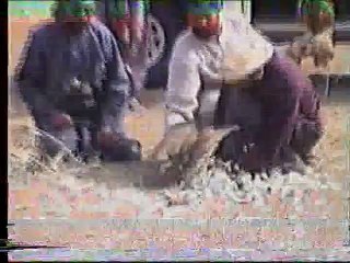 Ameer Ismail Badini_Video4