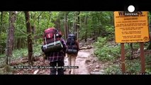 «قدم زدنی در جنگل» فیلم کمدی و تازه رابرت ردفورد