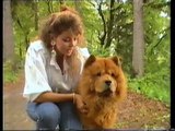 SANDRA - INTERVIEW / REPORT, 2 LIVE performances - Teen Magazin, Germany (1986)