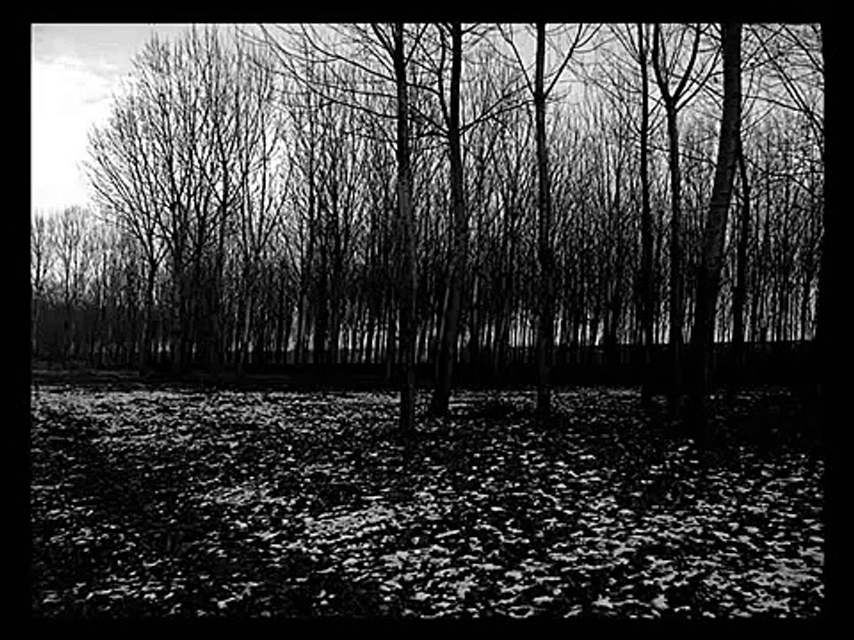 Anatol Mirzenco- Doliu pentru Tata.wmv