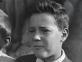 Great Italian Motorbike Displa