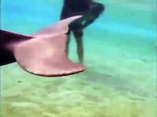 Dolphin Give Birth on Camera. Beautiful Record