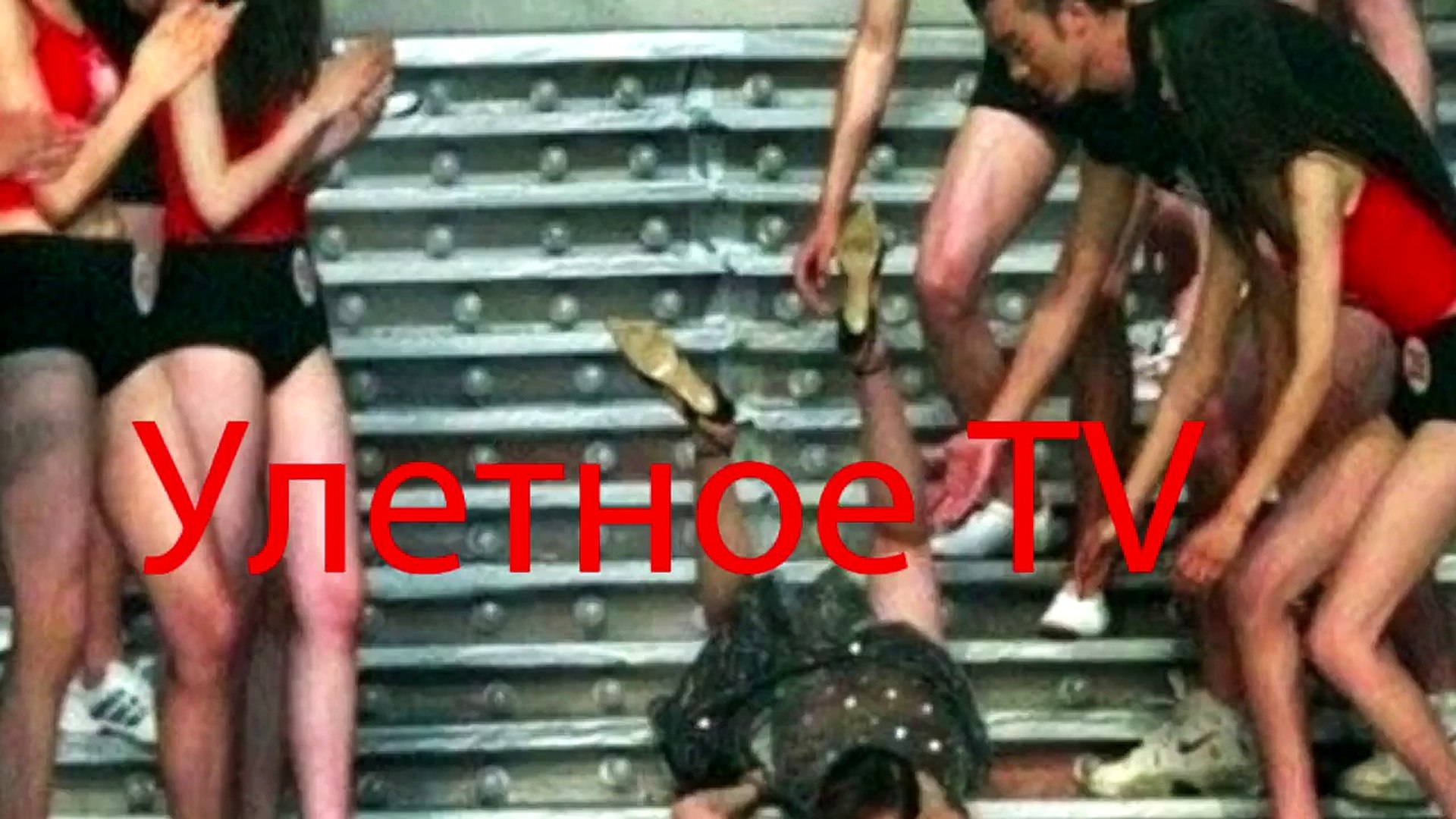 Улетные животные