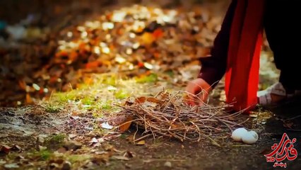 Song Afghanistan  Master ali Haider Hd 1080p