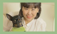 My Dog Happee: How Animals can be our Spiritual Healers