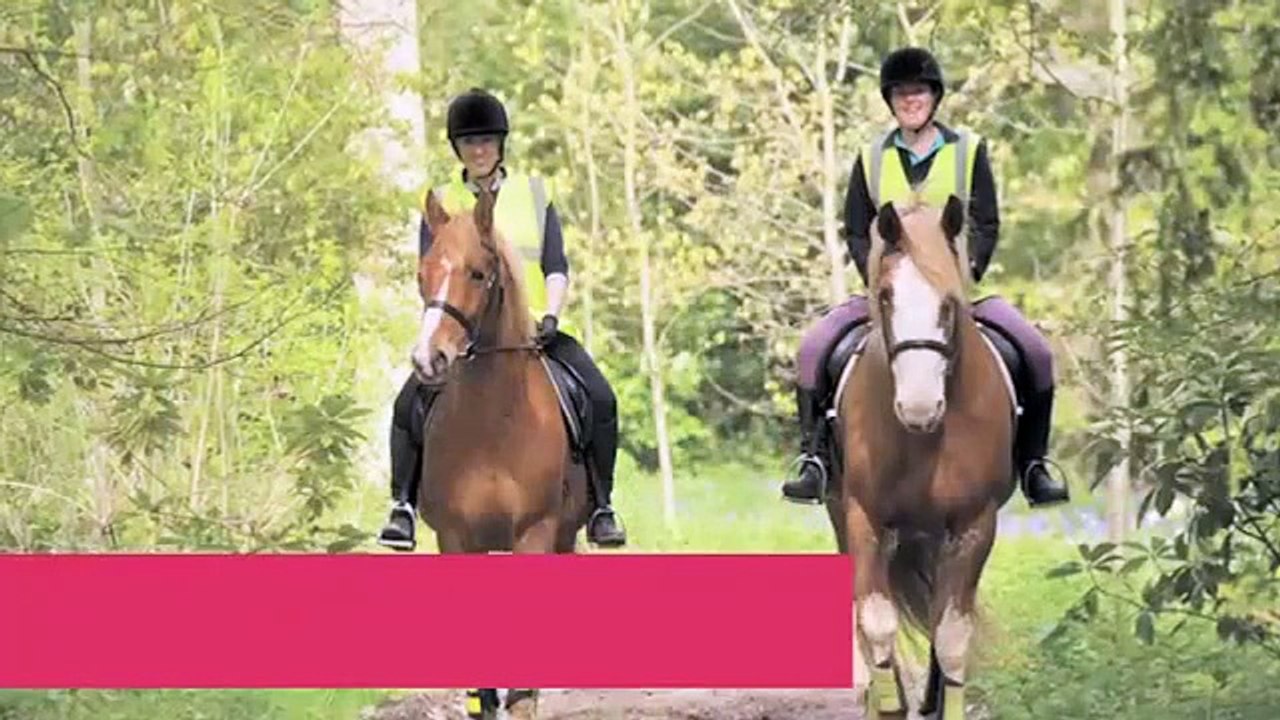 The British Horse Society- Fulfilling Your Passion For Horses