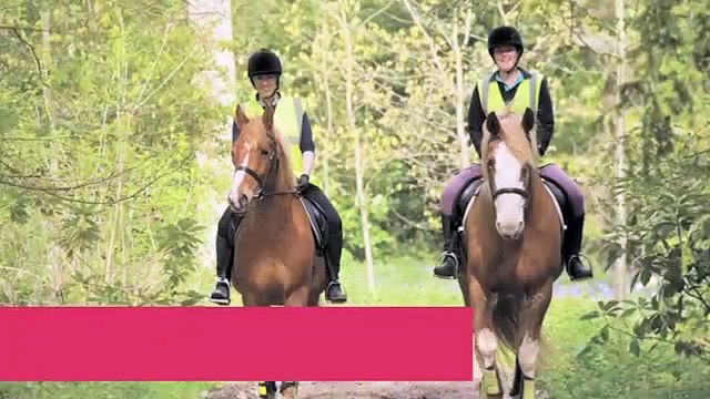 The British Horse Society- Fulfilling Your Passion For Horses