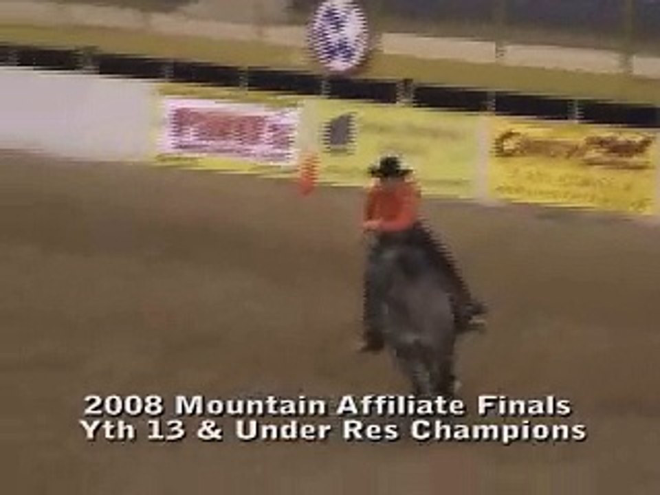 Reining Horse: Boot Somebody - career-ending injury in warm up pen