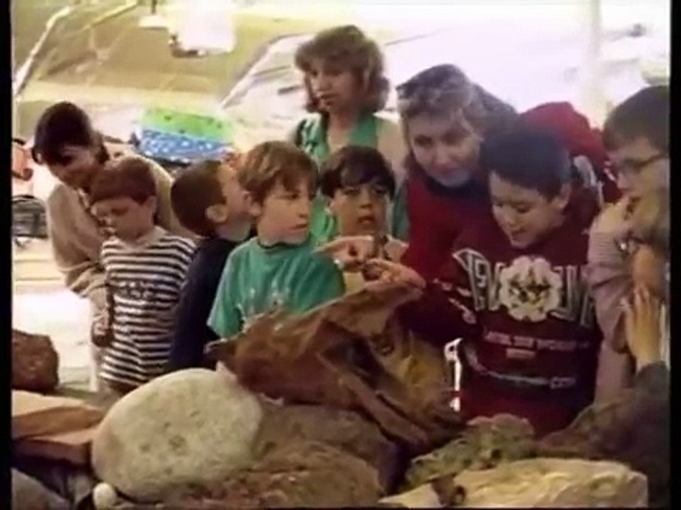 Adaptaciones curriculares para niños autistas, Parte 2 de 2