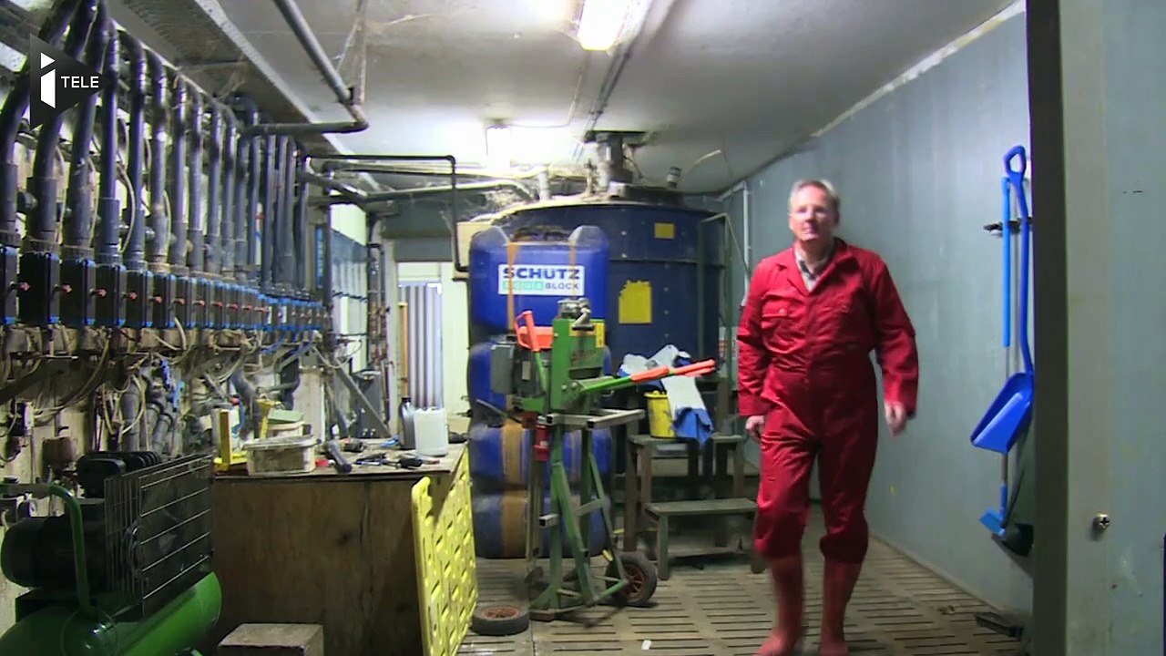 Eleveurs de porcs : la leçon allemande