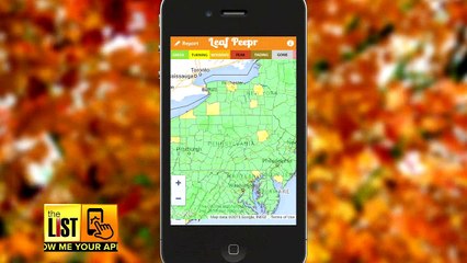 Fall Into The Season With These Fresh Apps