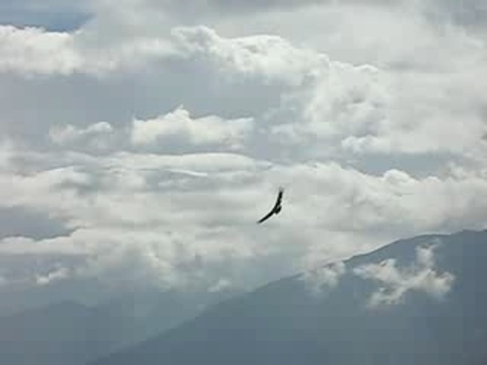 Vol de Condor