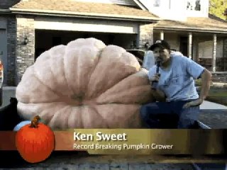 Sweet's Giant Pumpkins: Fall 2010