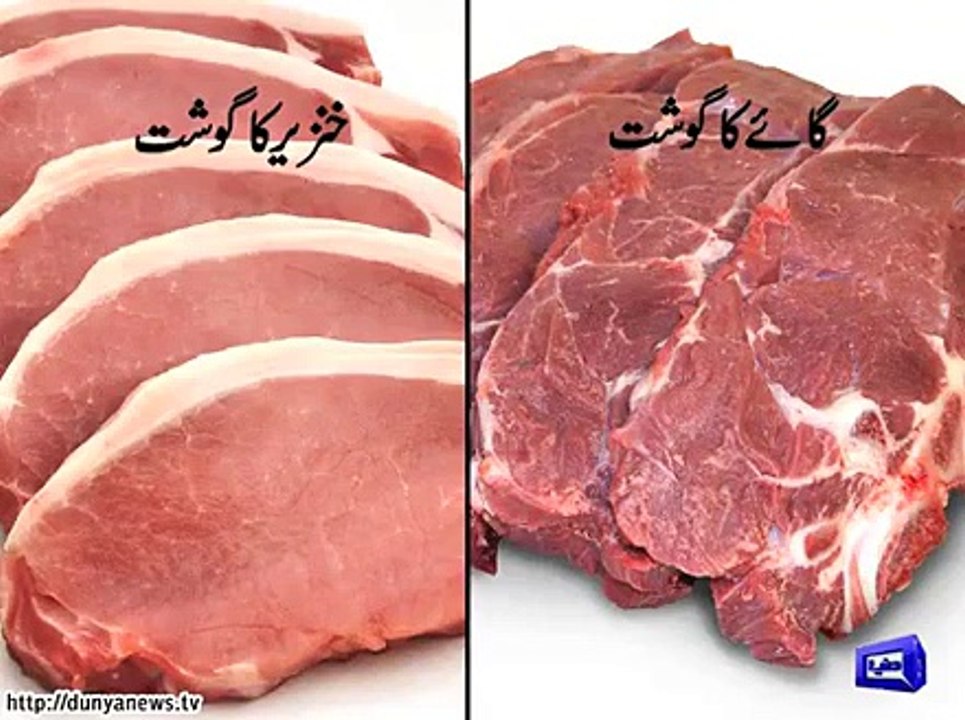 Difference Between Pork Meat and Cow Meat