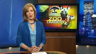 Child Killed By Wild Dogs @ Pittsburgh Zoo