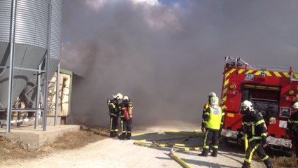 Un poulailler détruit dans un incendie