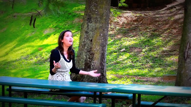 Musica Cristiana/alabanza y adoracion COMO OLVIDAR