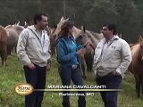 TV Terra Viva - Horse Brasil - Haras Água Santa 2