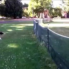 its okay stephen pendleton Press the star  on my page to get a notification when i post