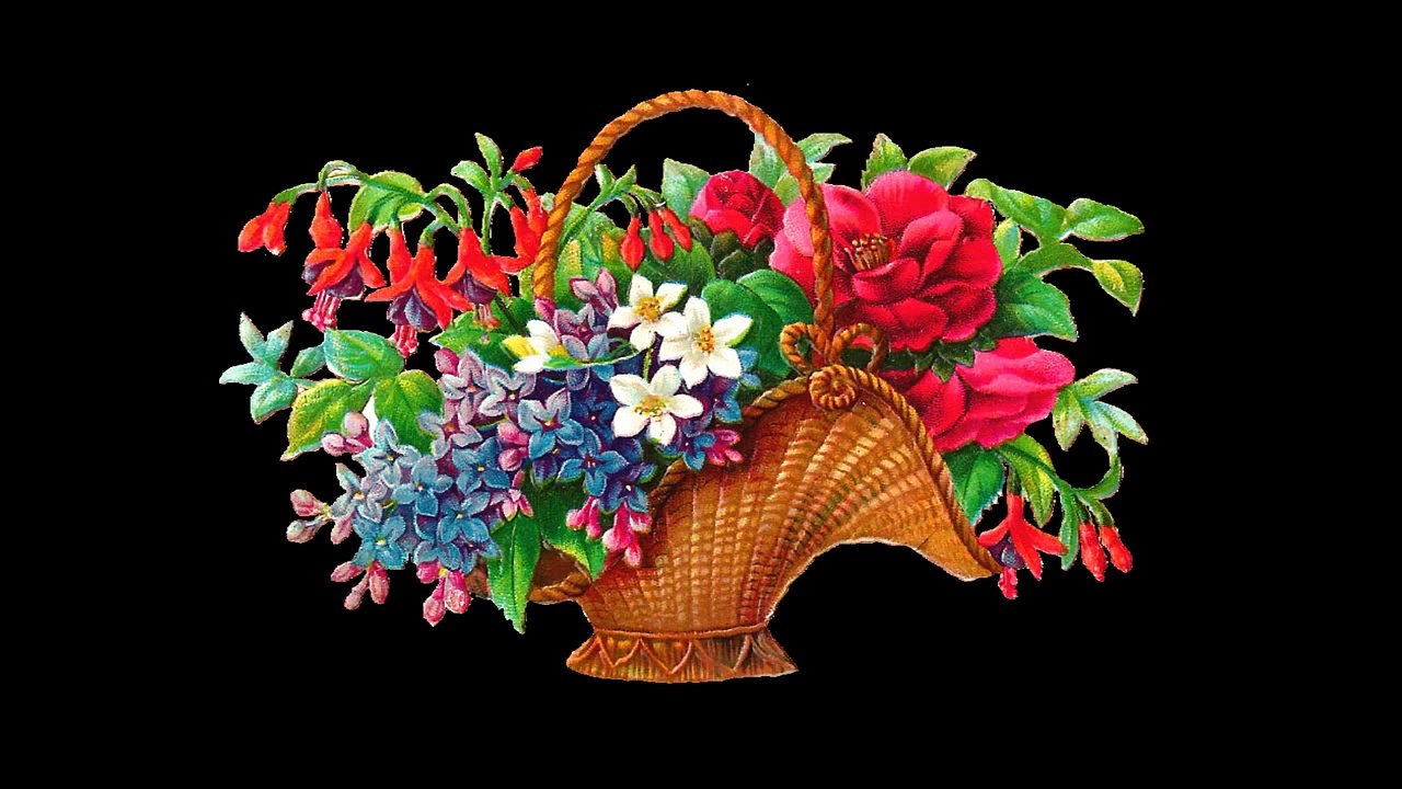 Daily English conversation with subtitle to learn English speaking