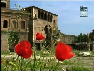 Cat Documentary: City Of The Wildcats (Part 2)