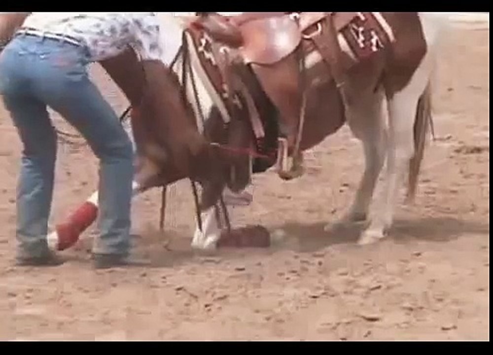 Teach Your Horse To Bow