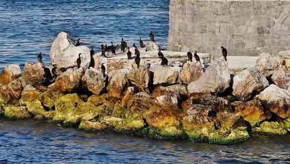 Ayse Tunali - Donulmez Aksamin Ufkundayiz