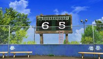 bernard bear 25 - Baseball