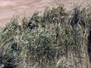 Japan creates the creepiest military vehicle