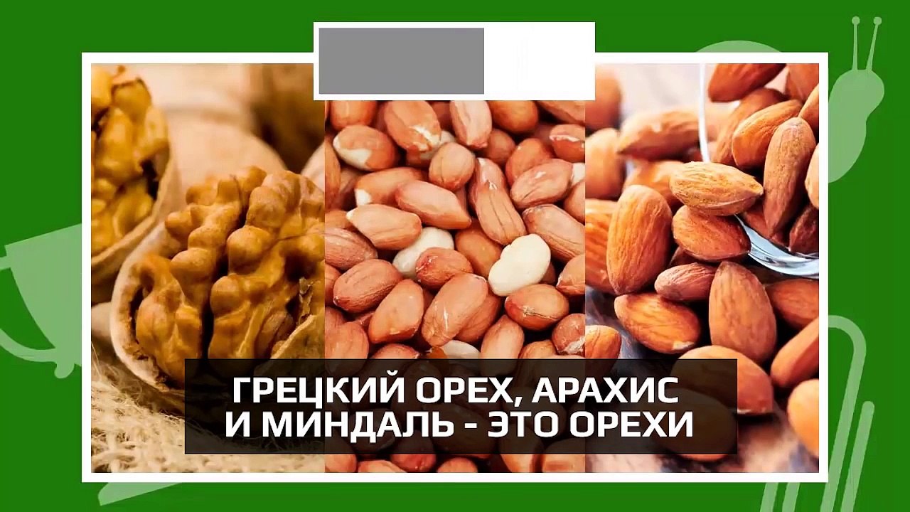 МОЖЕТ ЛИ МУРАВЕЙ ВИДЕТЬ СЕБЯ В ЗЕРКАЛЕ?