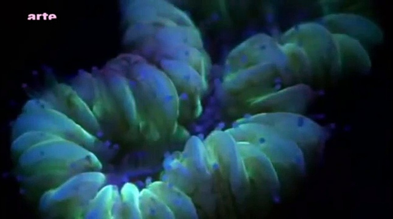 Créatures des profondeurs - part1