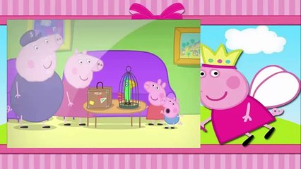 Peppa Pig Bubbles, Polly's Holiday, Rock Pools