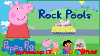 Peppa Pig English Episodes 07   Rock Pools