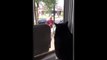Cat is Extremely Jealous of Owners New Pet Pooch