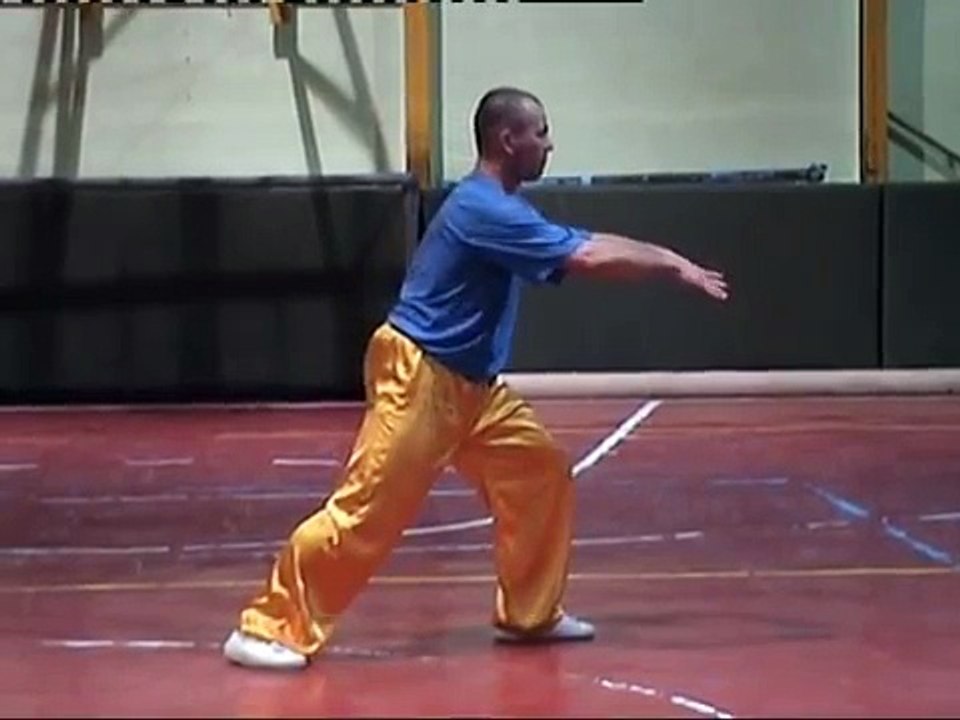 Chen Tai Chi 24 form (er shi si shi)