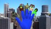 Finger Family Nursery Rhymes Hulk Spiderman Cartoons | Batman Superman Ironman Finger Family