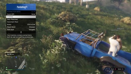 Grand Theft Auto V Funny glitch