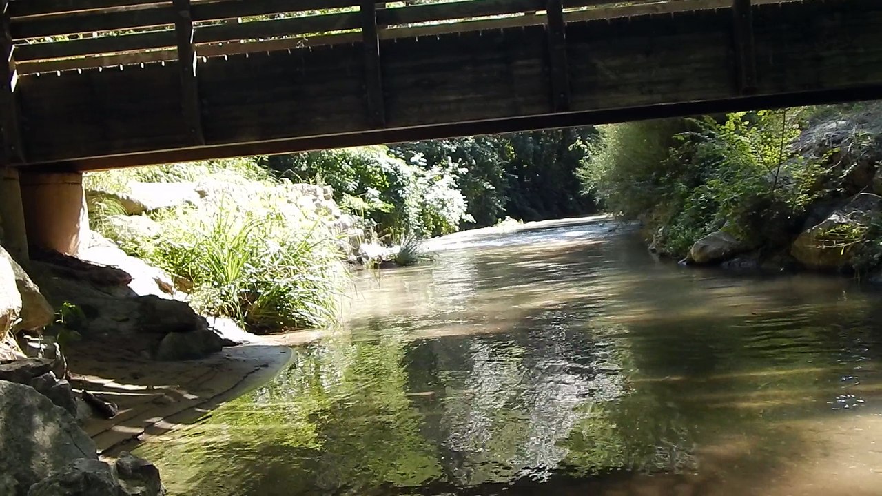 Vedette au parc