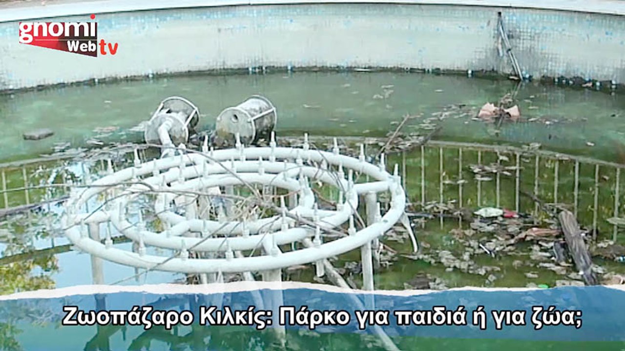Ζωοπάζαρο Κιλκίς: Πάρκο για παιδιά  ή για ζώα;