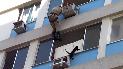 Bombero arriesga su vida para salvar a un gato