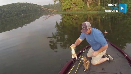 Gone Cat-Fishin'