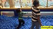 Fun Activity: Zipline over the Pool of Plastic Balls, Kiddie Slides, Kid's Playtime, etc...