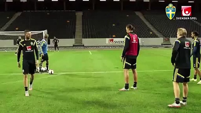 Zlatan Ibrahimovic Insane goal with left foot at Sweden training!