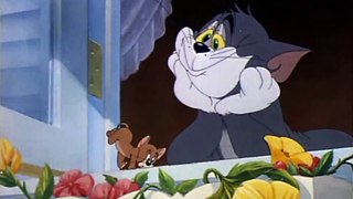 Tom and Jerry, 23 Episode - Springtime for Thomas (1946) Hindi/Urdu HD